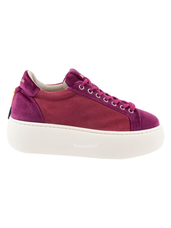 Barracuda sneakers BD1343 Pink by Penninkhoffashion.com
