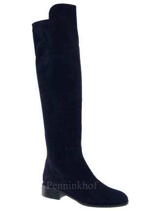 Cervone Cervone 659